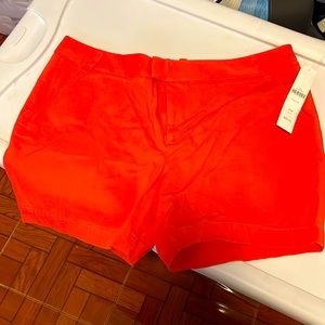 Coral petite 14 shorts